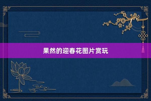 果然的迎春花图片赏玩